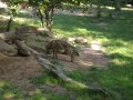 IMGP1146.JPG